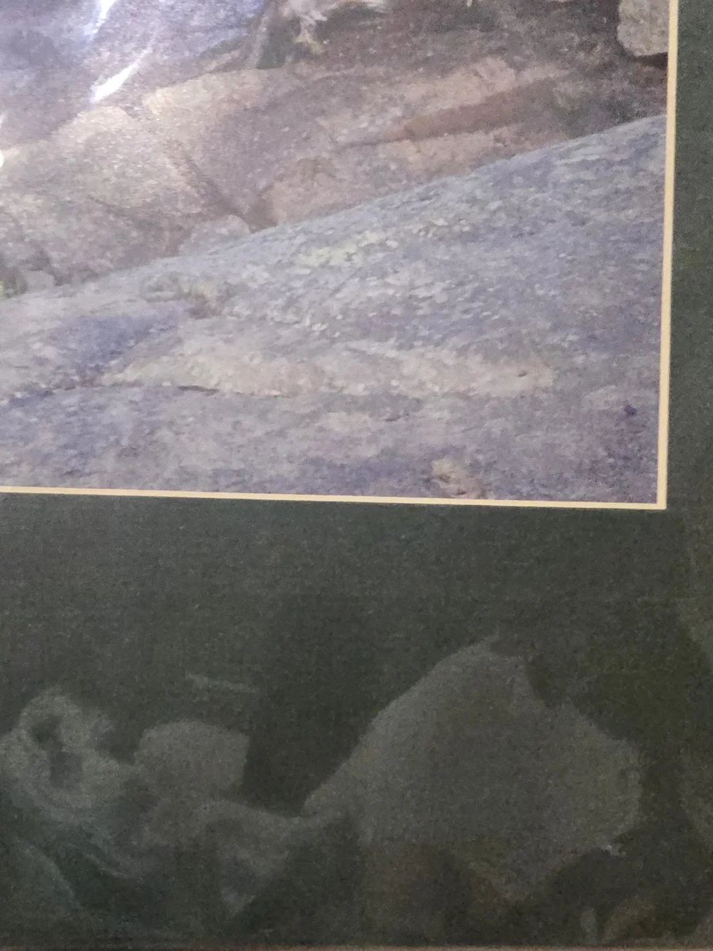 VTG Chasm Falls Rocky Mountain National Park Signed Photo Print Mike Murphy